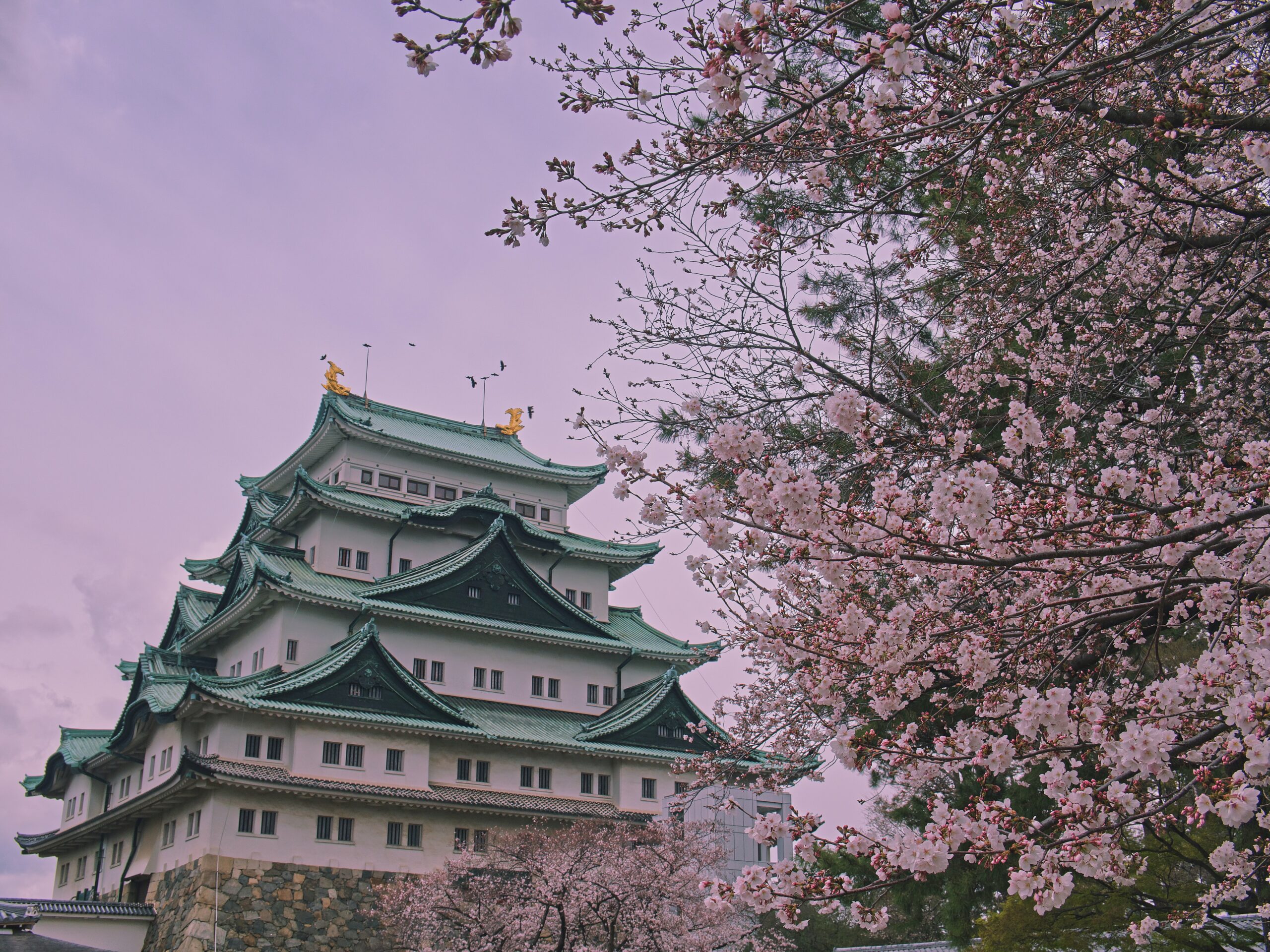 nagoya castle