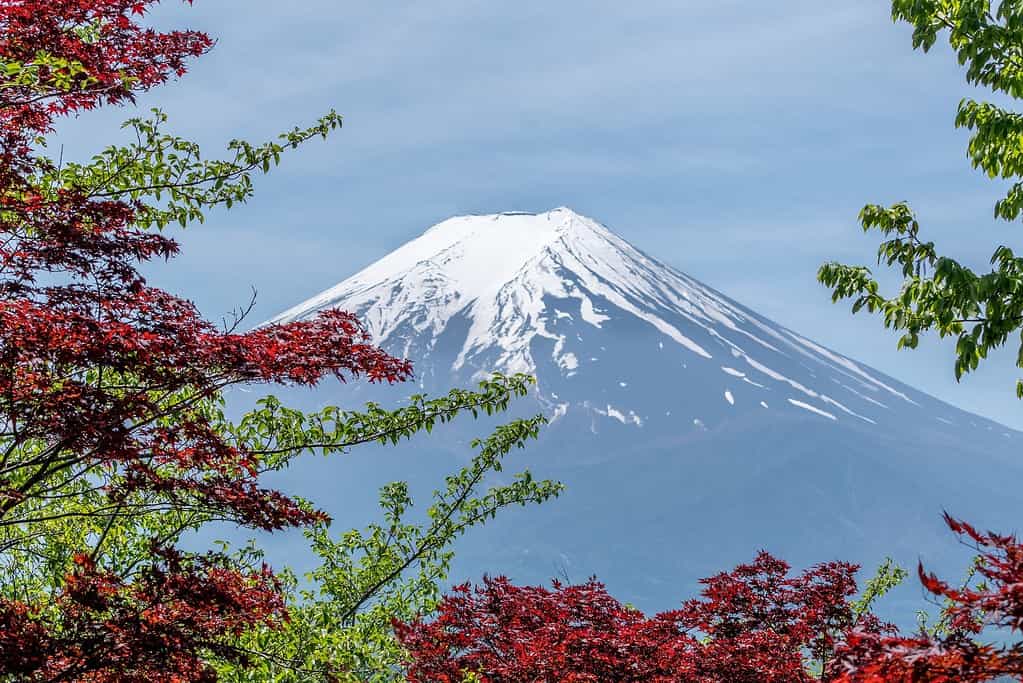 mt fuji