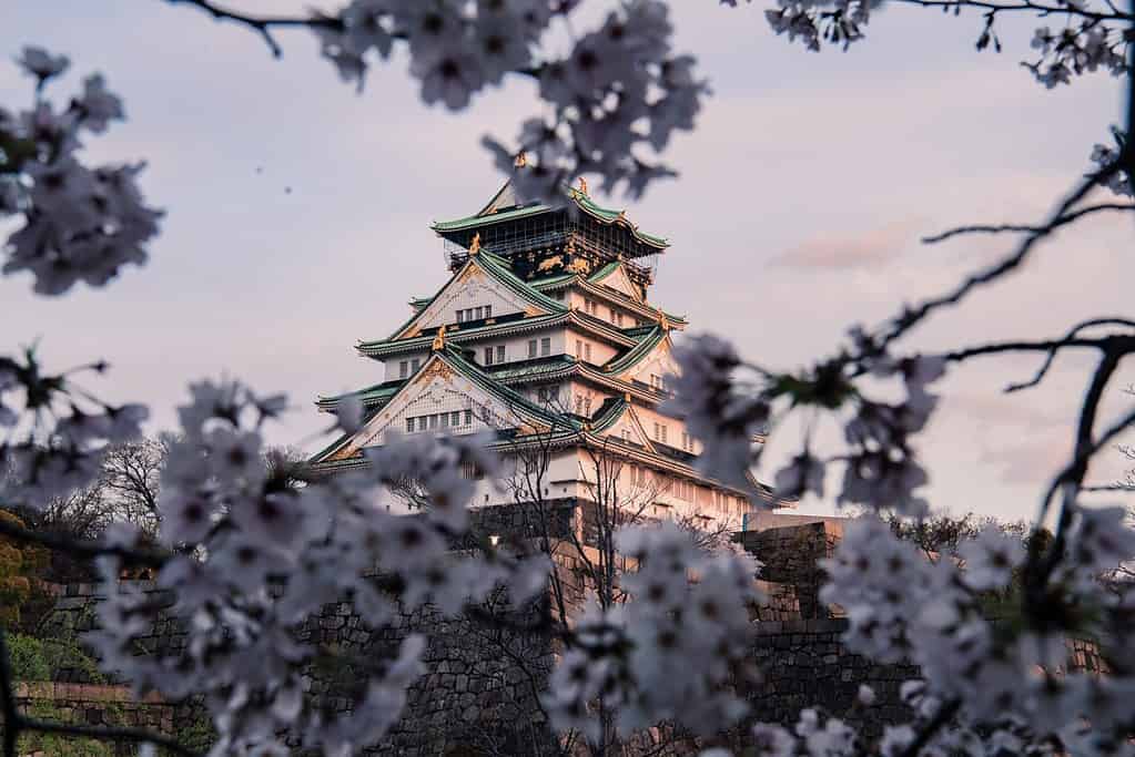 Osaka Castle