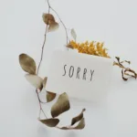 how to say i'm sorry in japanese