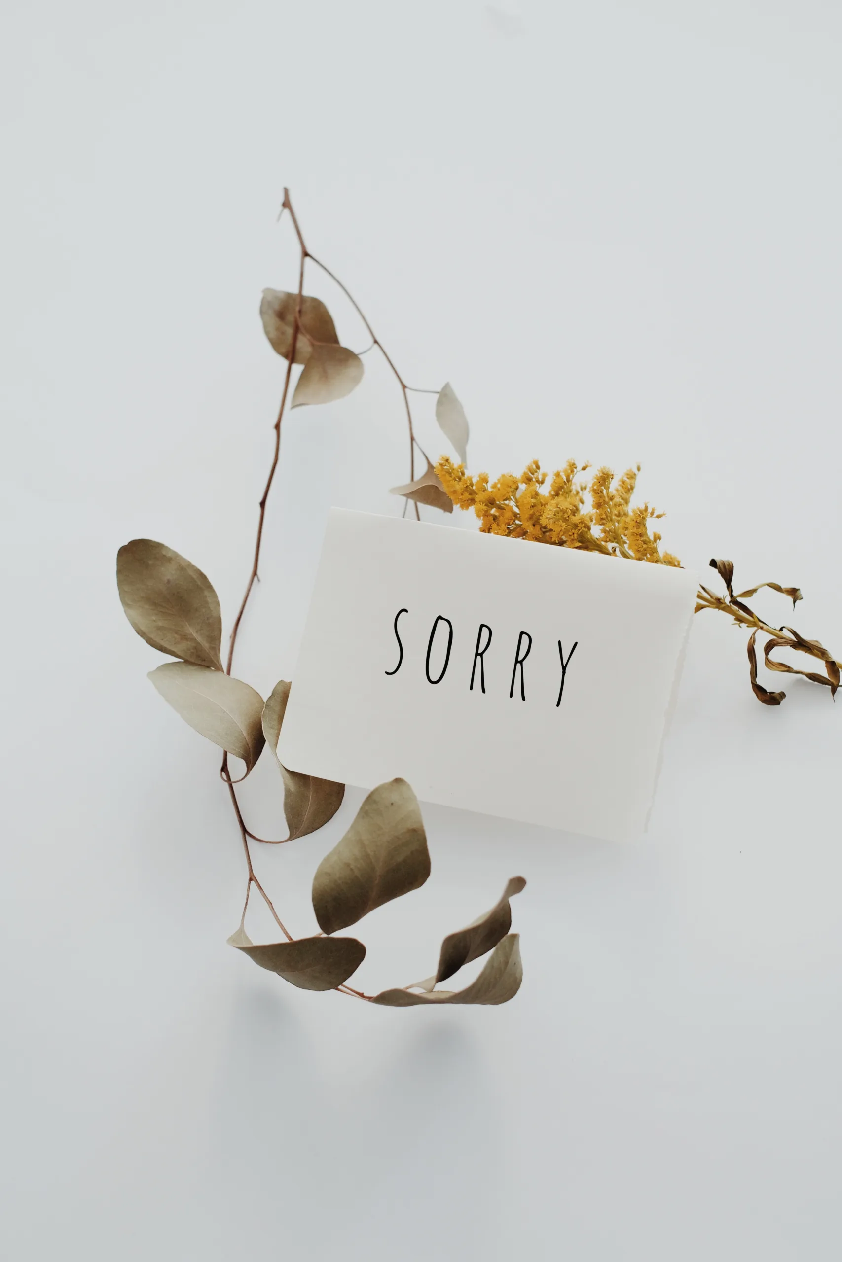 how to say i'm sorry in japanese