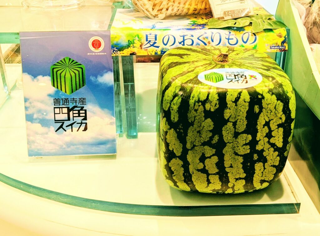 square watermelon in japan